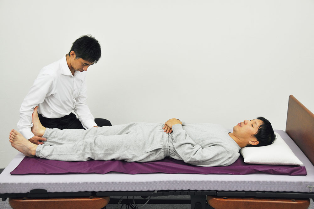 トランスファーシート L 使用例