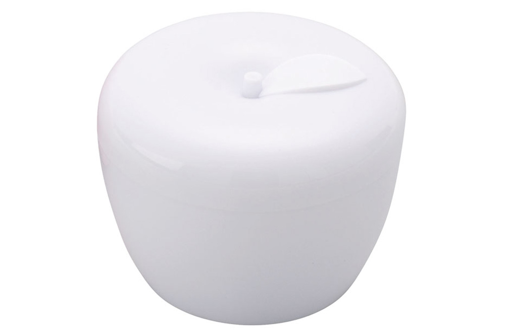 テイコブ 入れ歯ケース