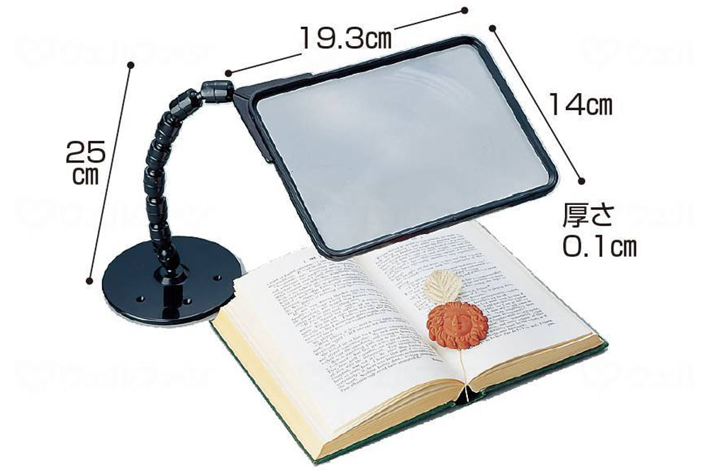 せぼね君ルーペ・読書用 サイズ表