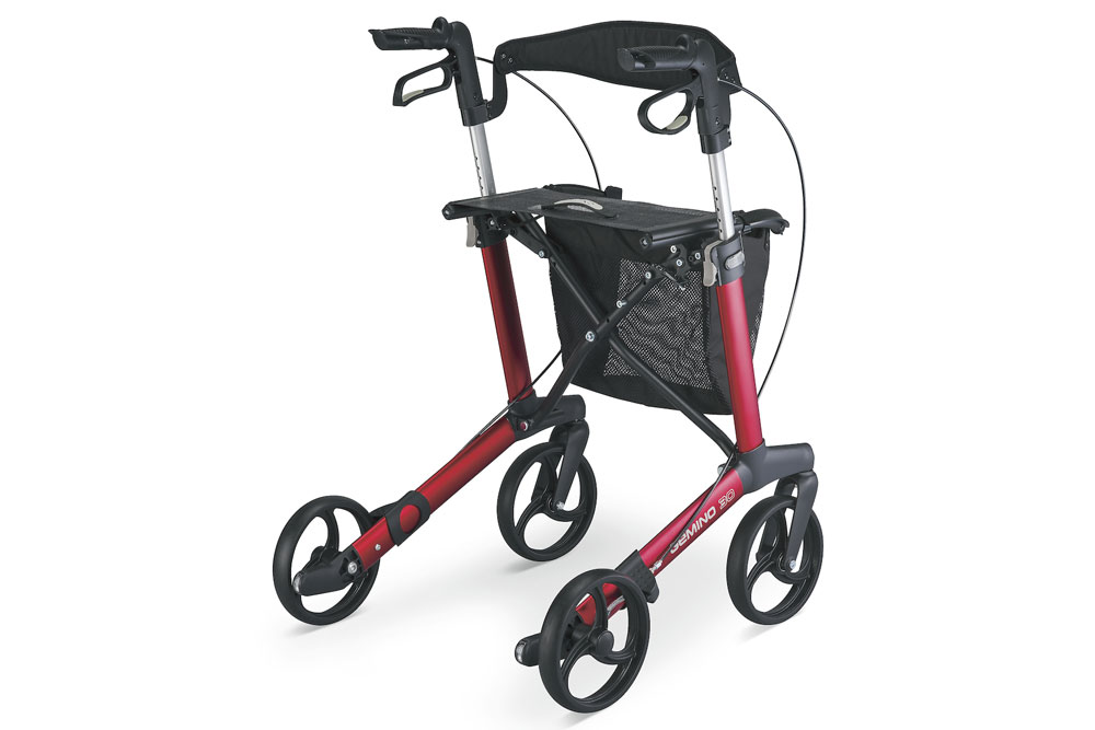 ジェミノ 背面カット