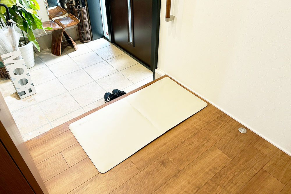 家族コール4 玄関設置イメージ