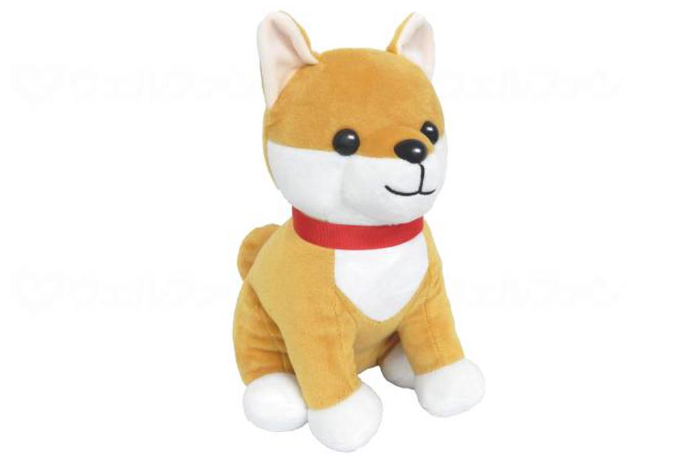 時間だよ！おしらせとうばん しば